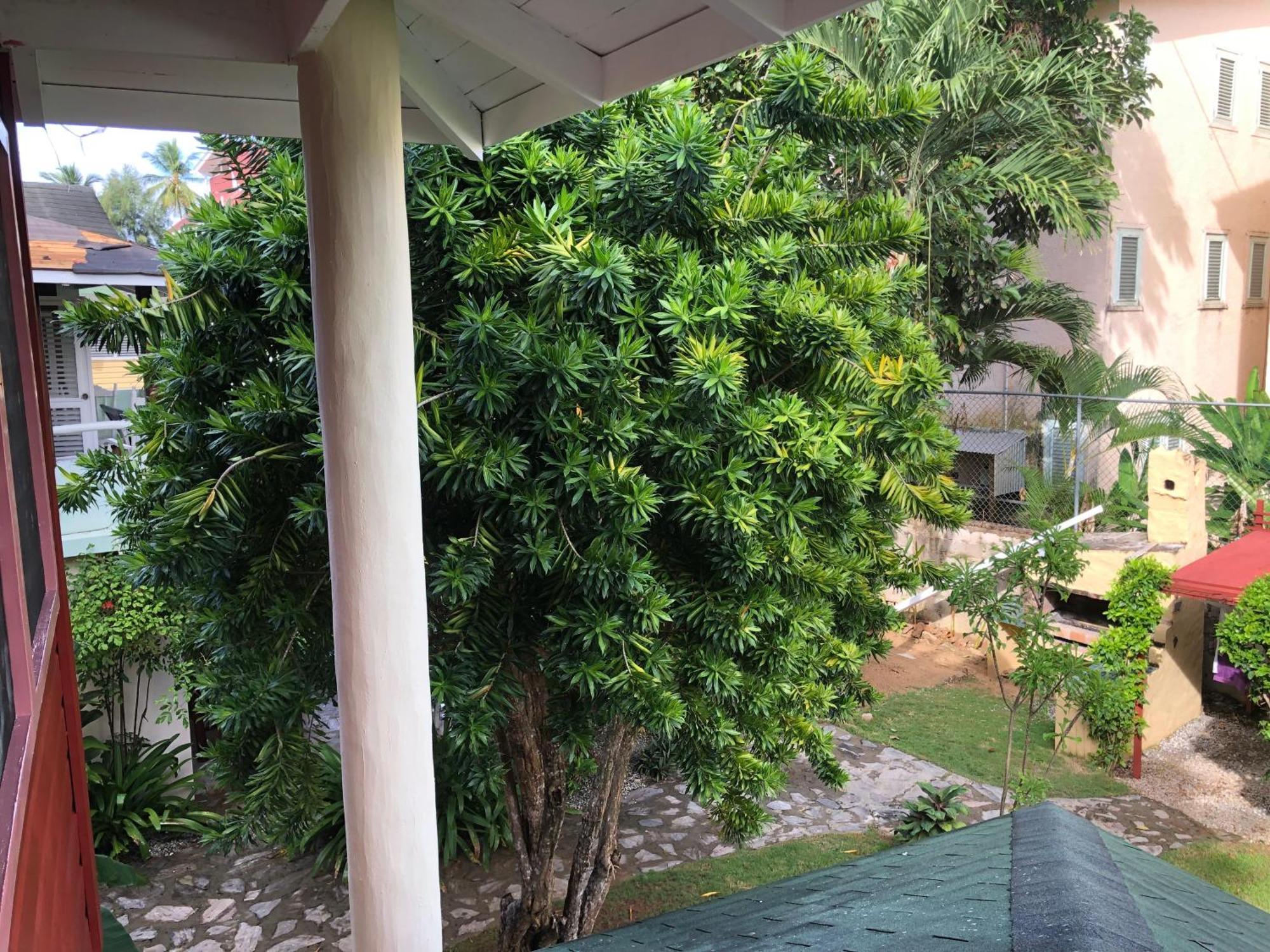 Hotel Casa Robinson Las Terrenas Exteriör bild