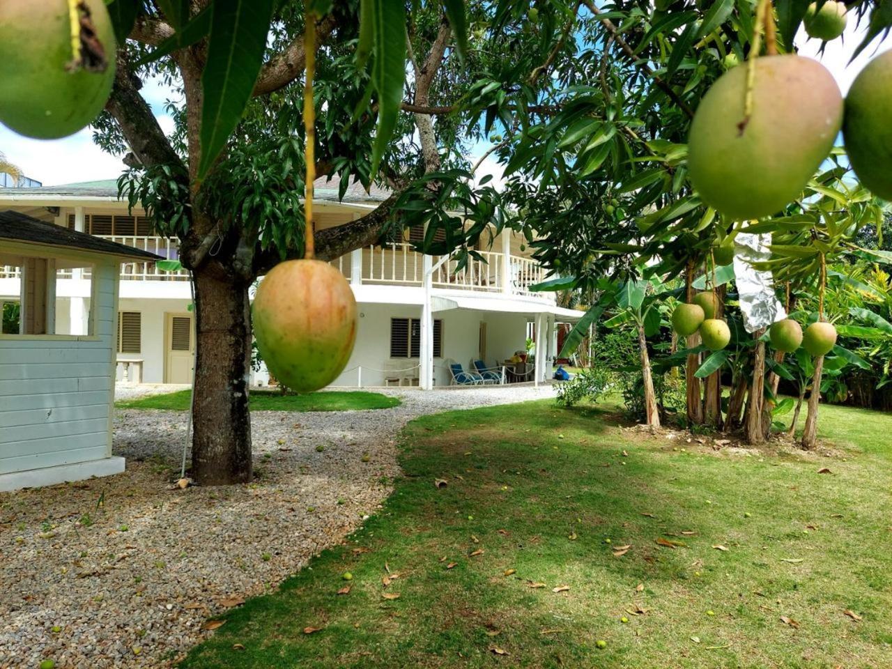 Hotel Casa Robinson Las Terrenas Exteriör bild