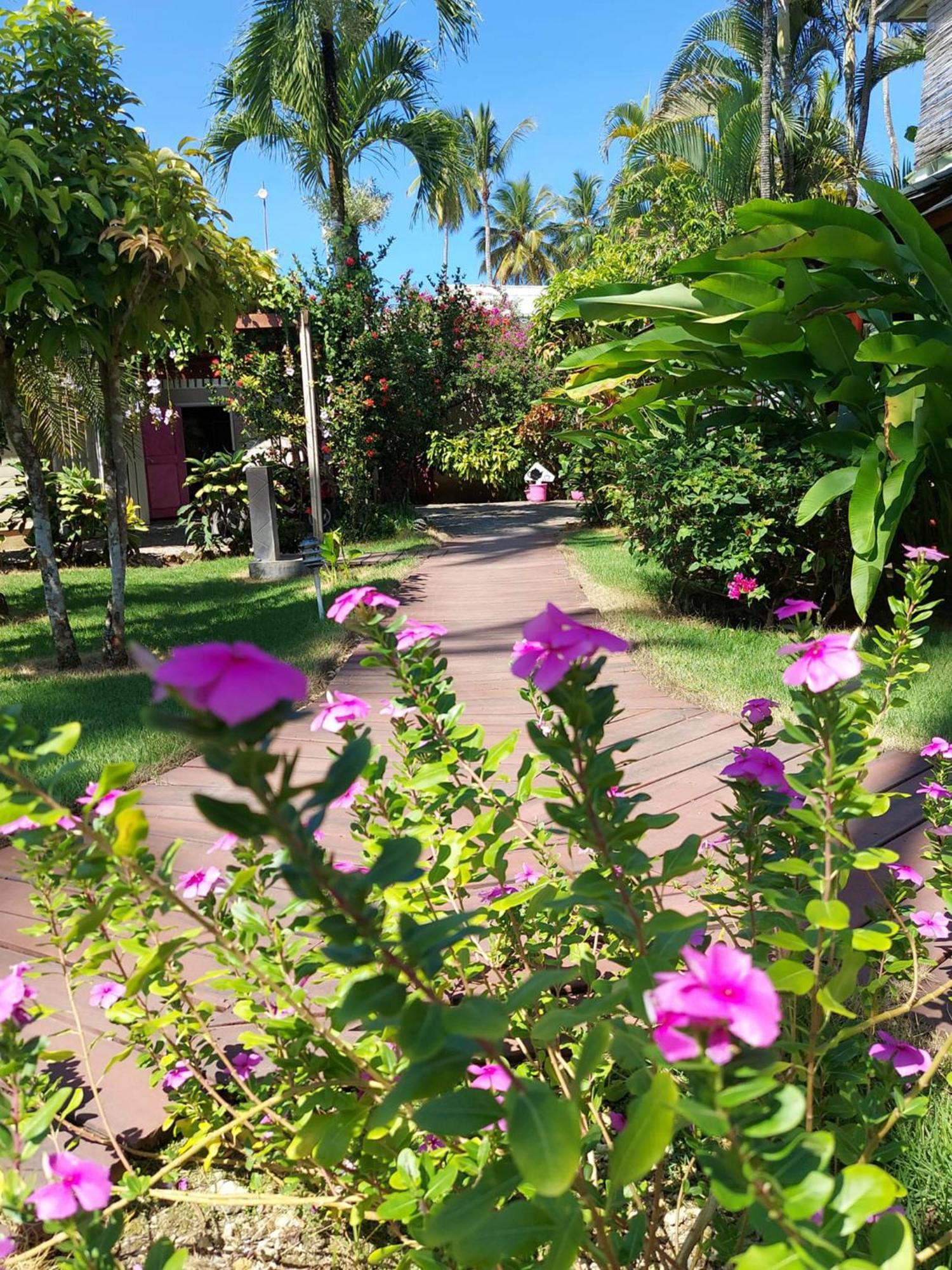 Hotel Casa Robinson Las Terrenas Exteriör bild