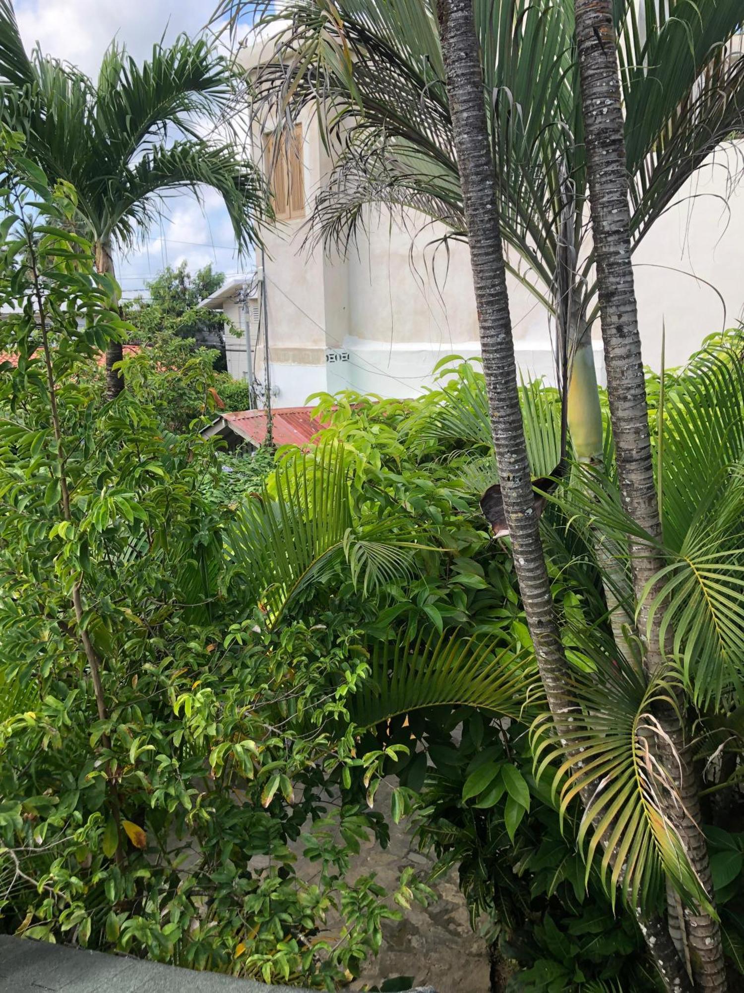 Hotel Casa Robinson Las Terrenas Exteriör bild