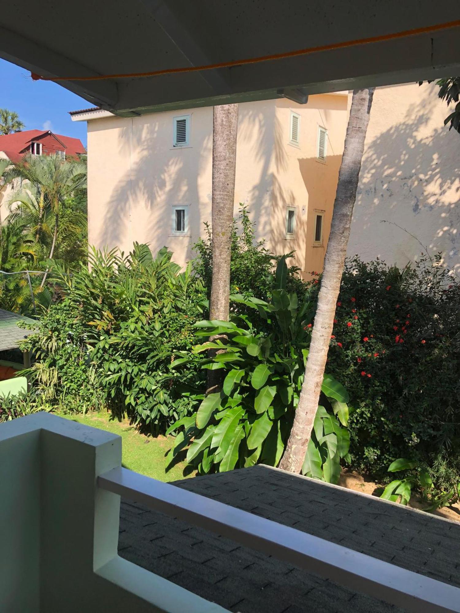 Hotel Casa Robinson Las Terrenas Exteriör bild